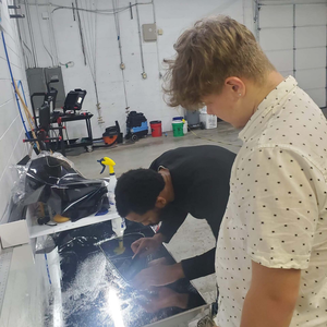 Window Tinting