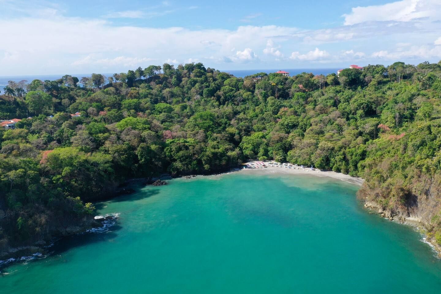 An aerial view of a small body of water surrounded by trees.