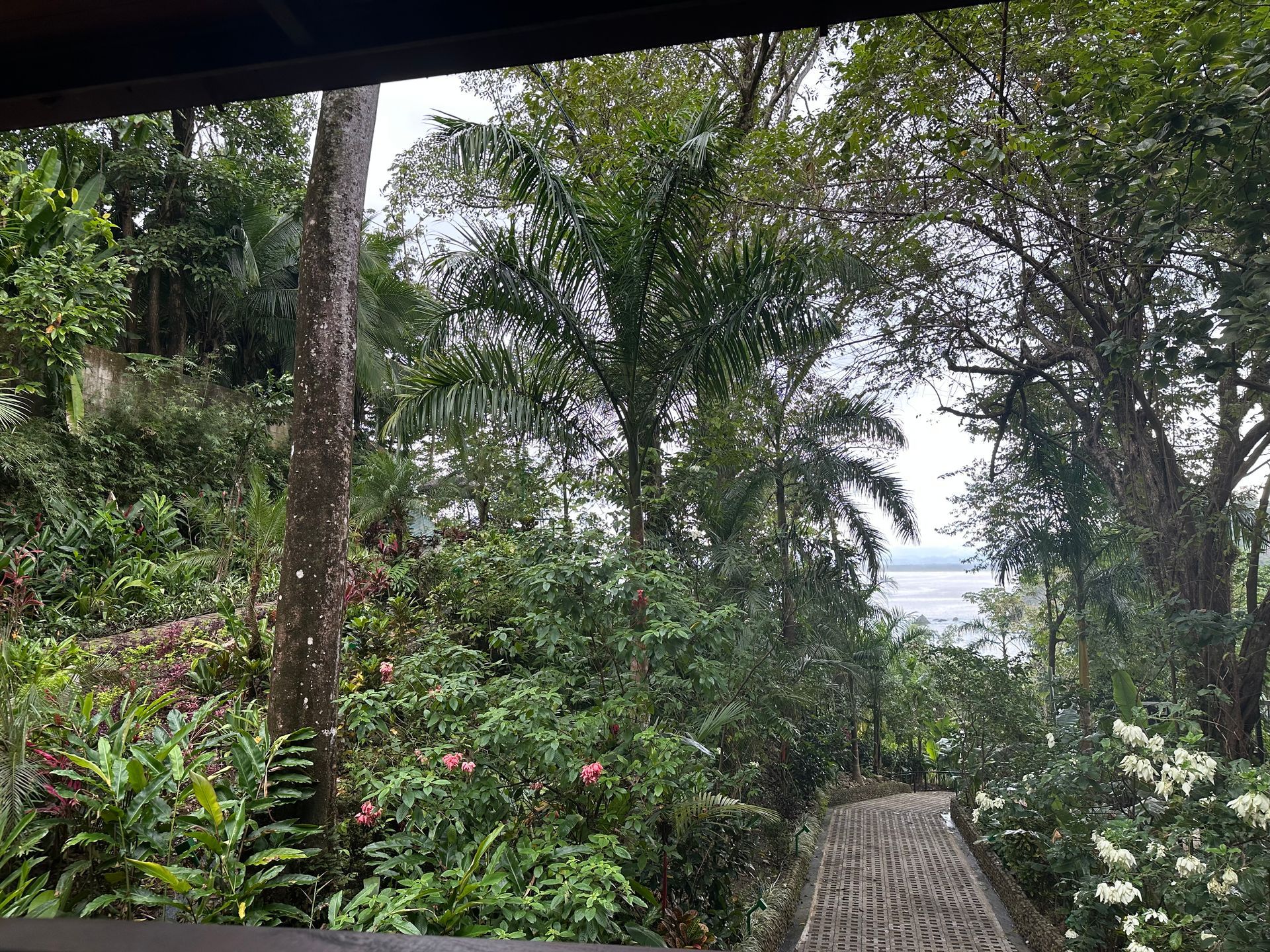 A view of a lush green forest from a balcony.