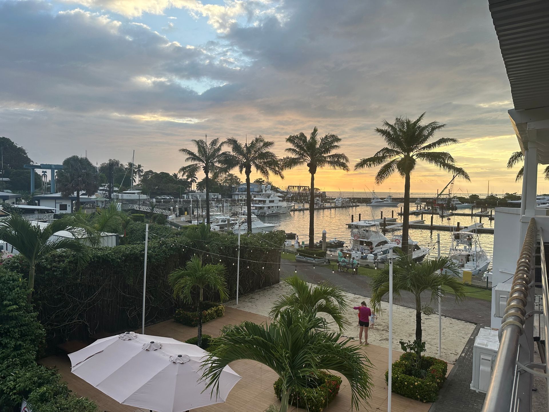 A view of a marina with palm trees and boats at sunset