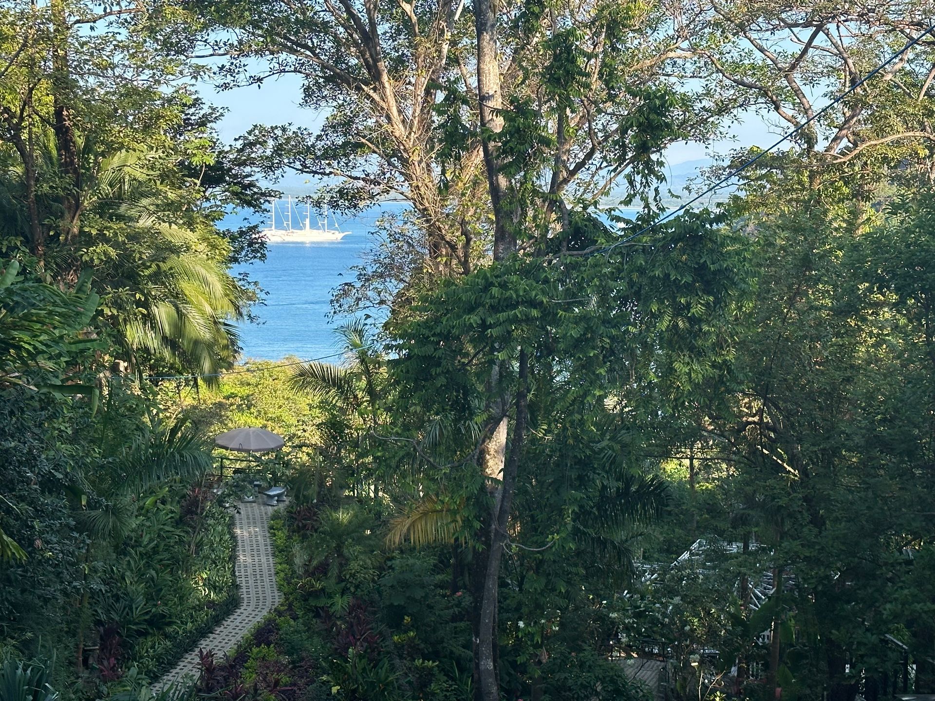 A view of the ocean through the trees with a boat in the distance.