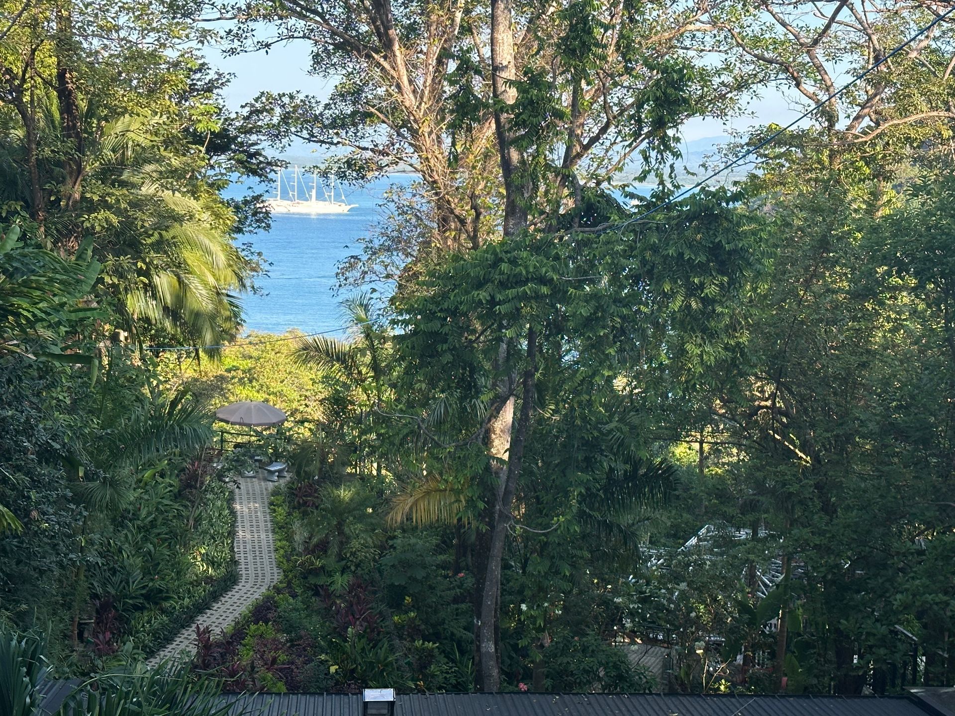 A view of the ocean from a house surrounded by trees.
