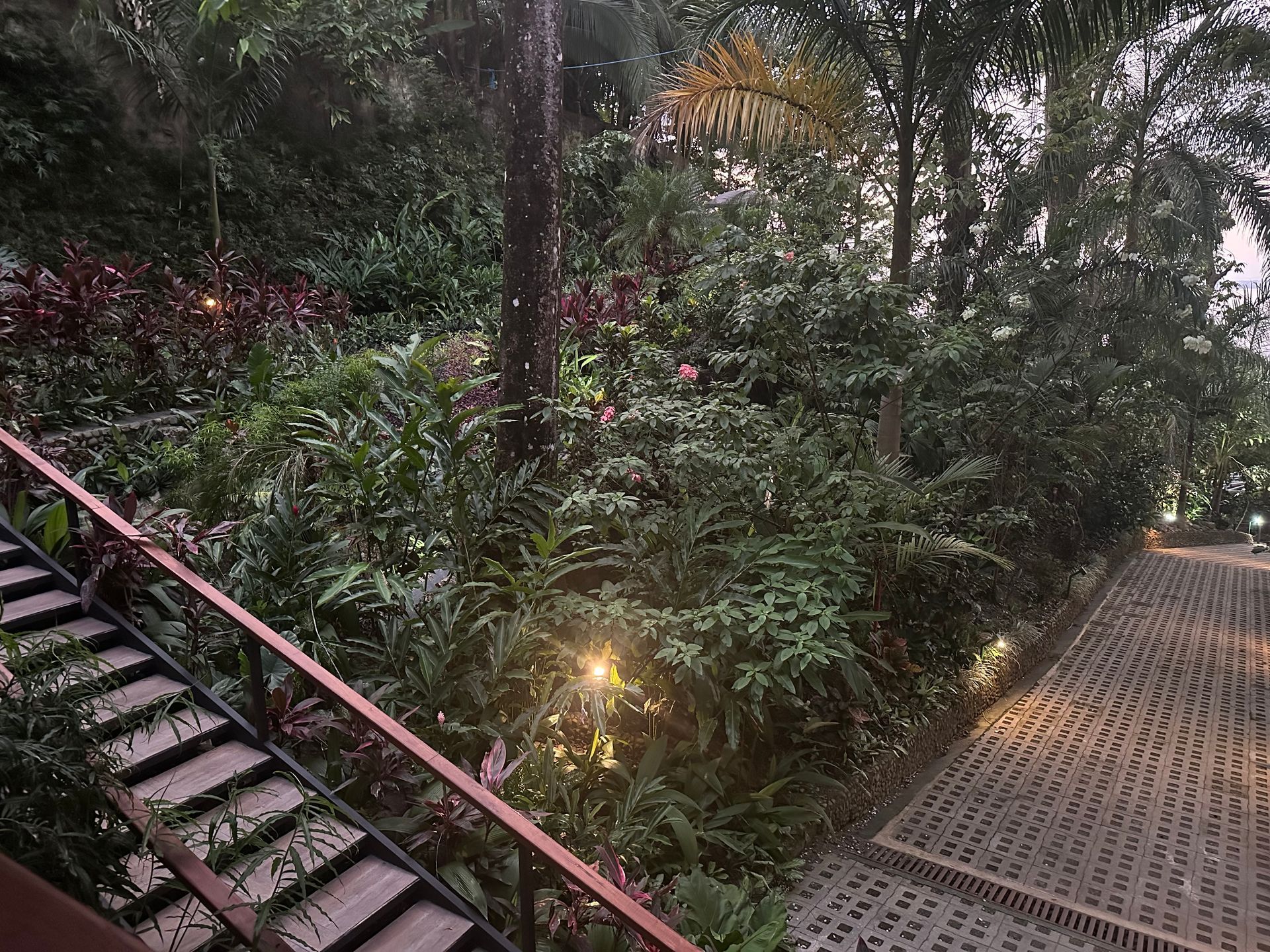 A wooden staircase leading up to a lush green forest.
