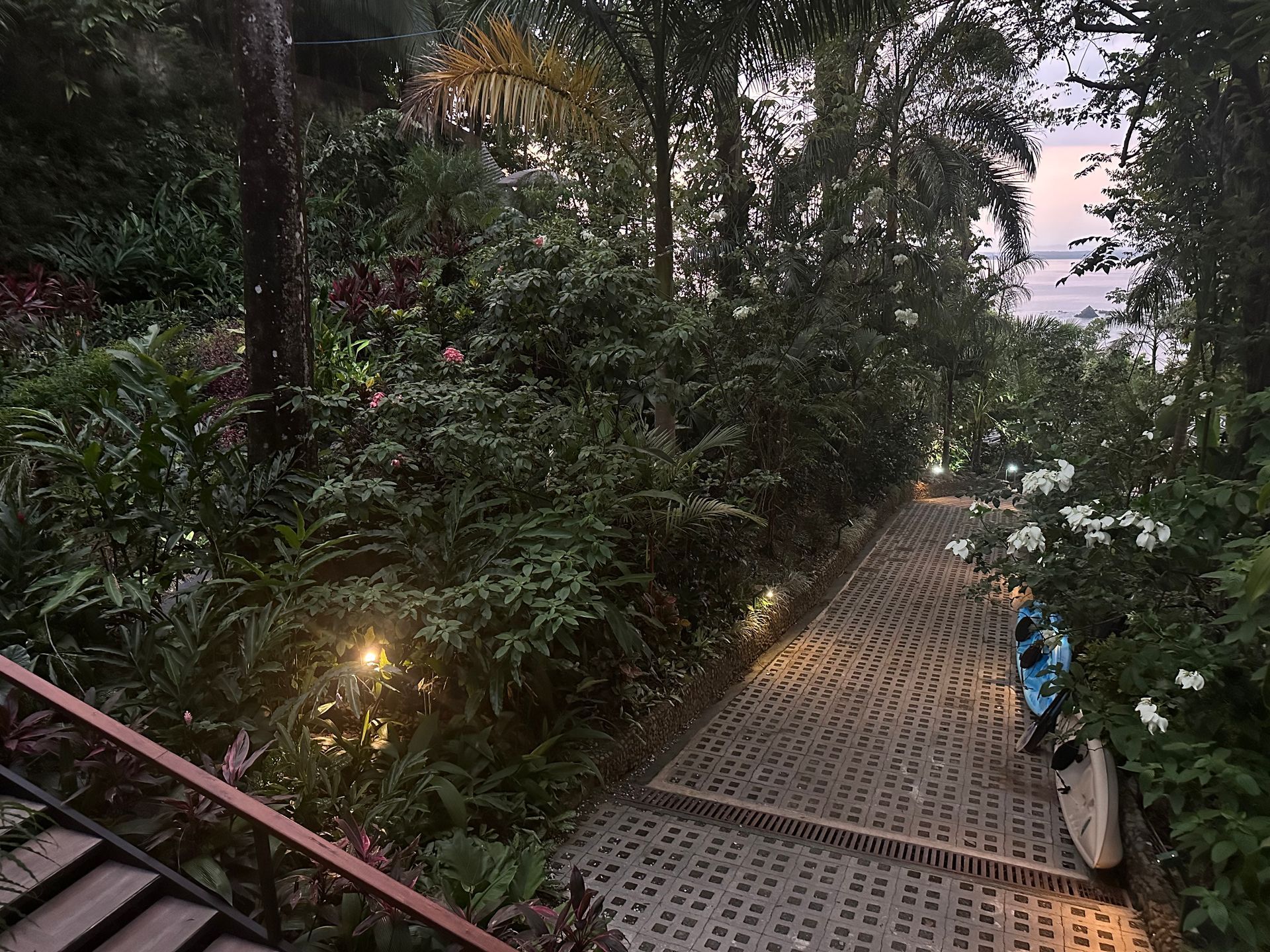 A staircase leading up to a lush green forest.