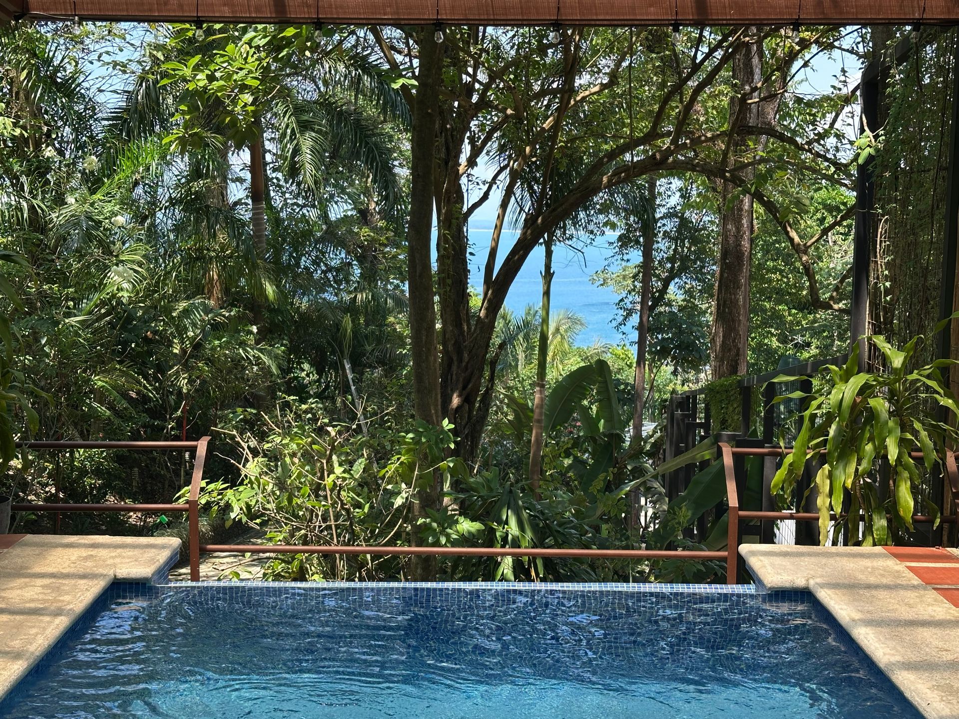 A large swimming pool surrounded by trees with a view of the ocean.