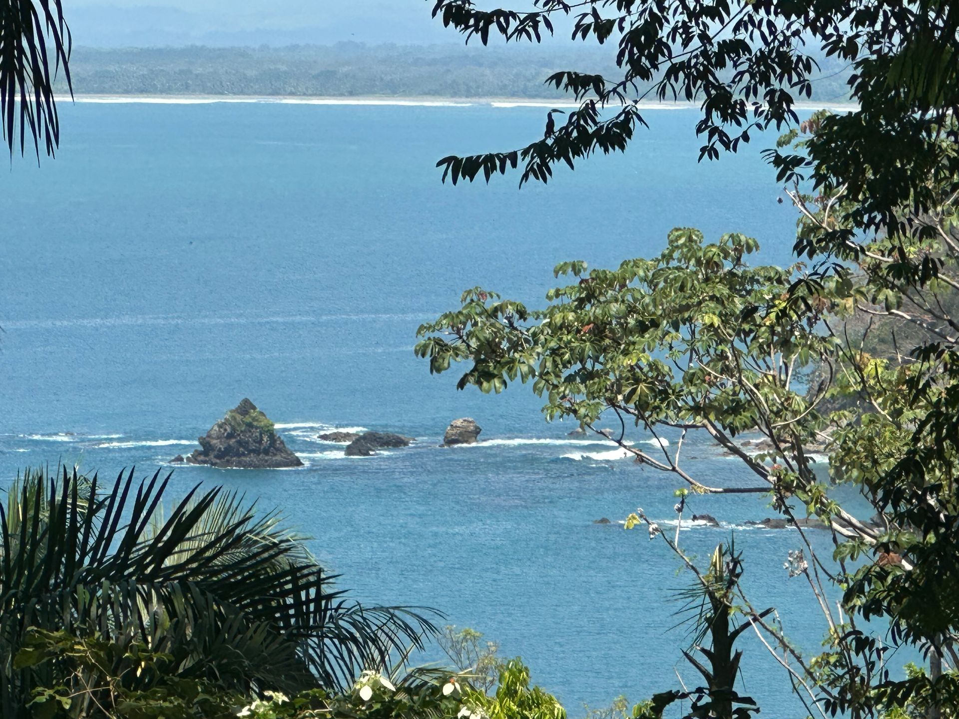 A view of a large body of water surrounded by trees