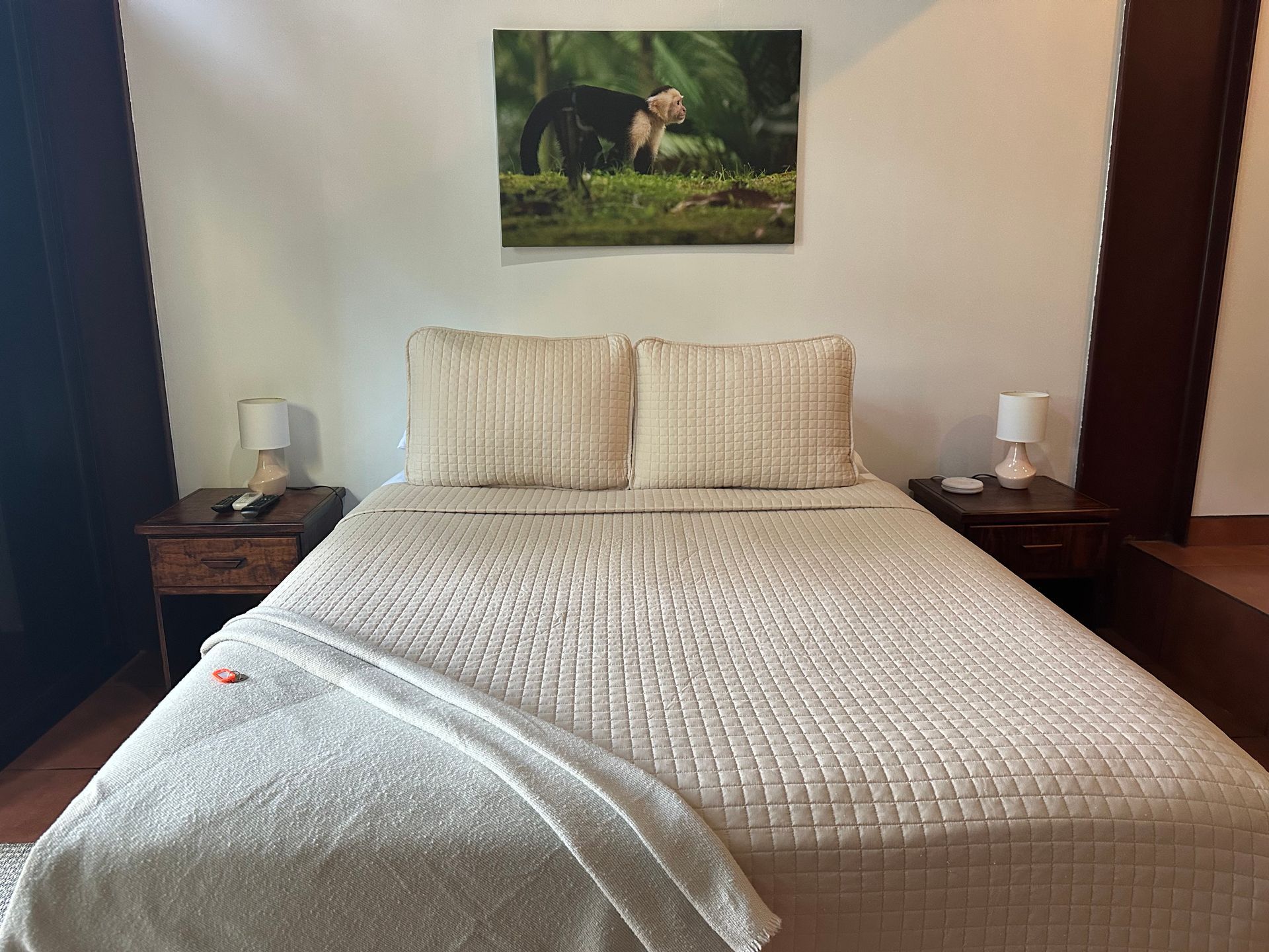 There is a picture of a monkey on the wall above the bed.