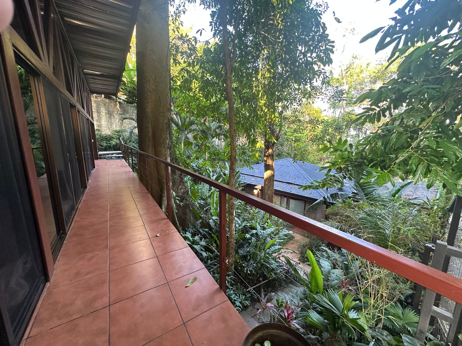 A long walkway leading to a house surrounded by trees