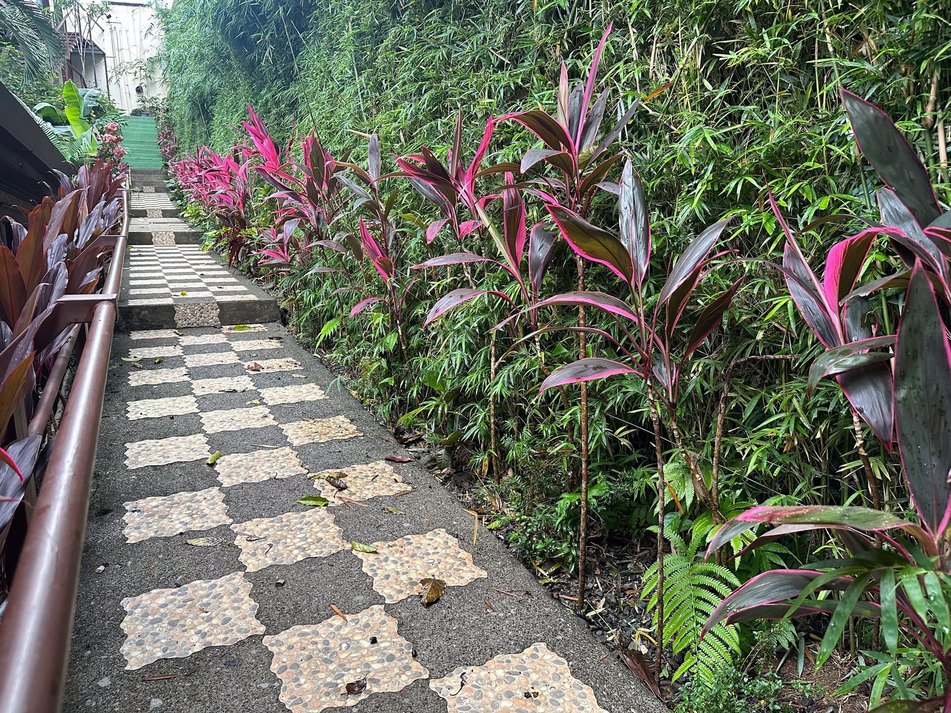 A black and white checkered walkway surrounded by plants and bushes.