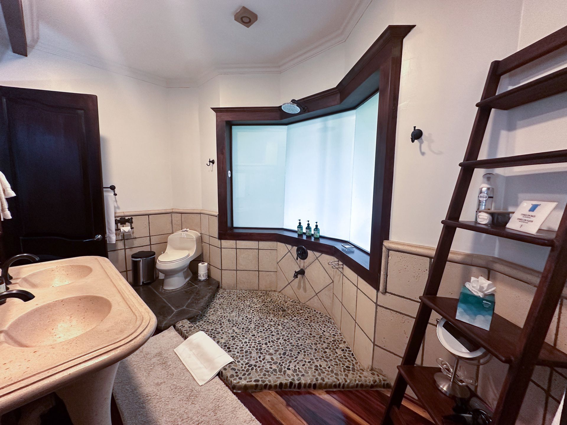 A bathroom with a toilet a sink and a ladder