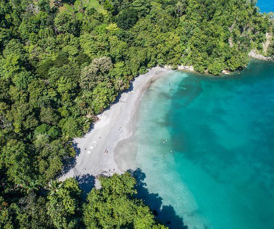 An aerial view of a beach surrounded by trees and turquoise water.