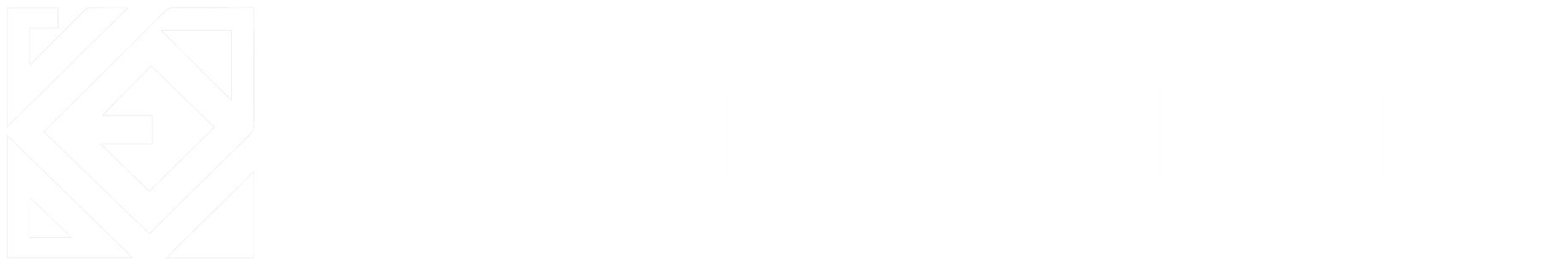 Thin horizontal white and gray bar with a small black-and-white icon at the far left
