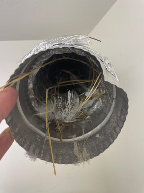 A person is holding a metal pipe with feathers in it.