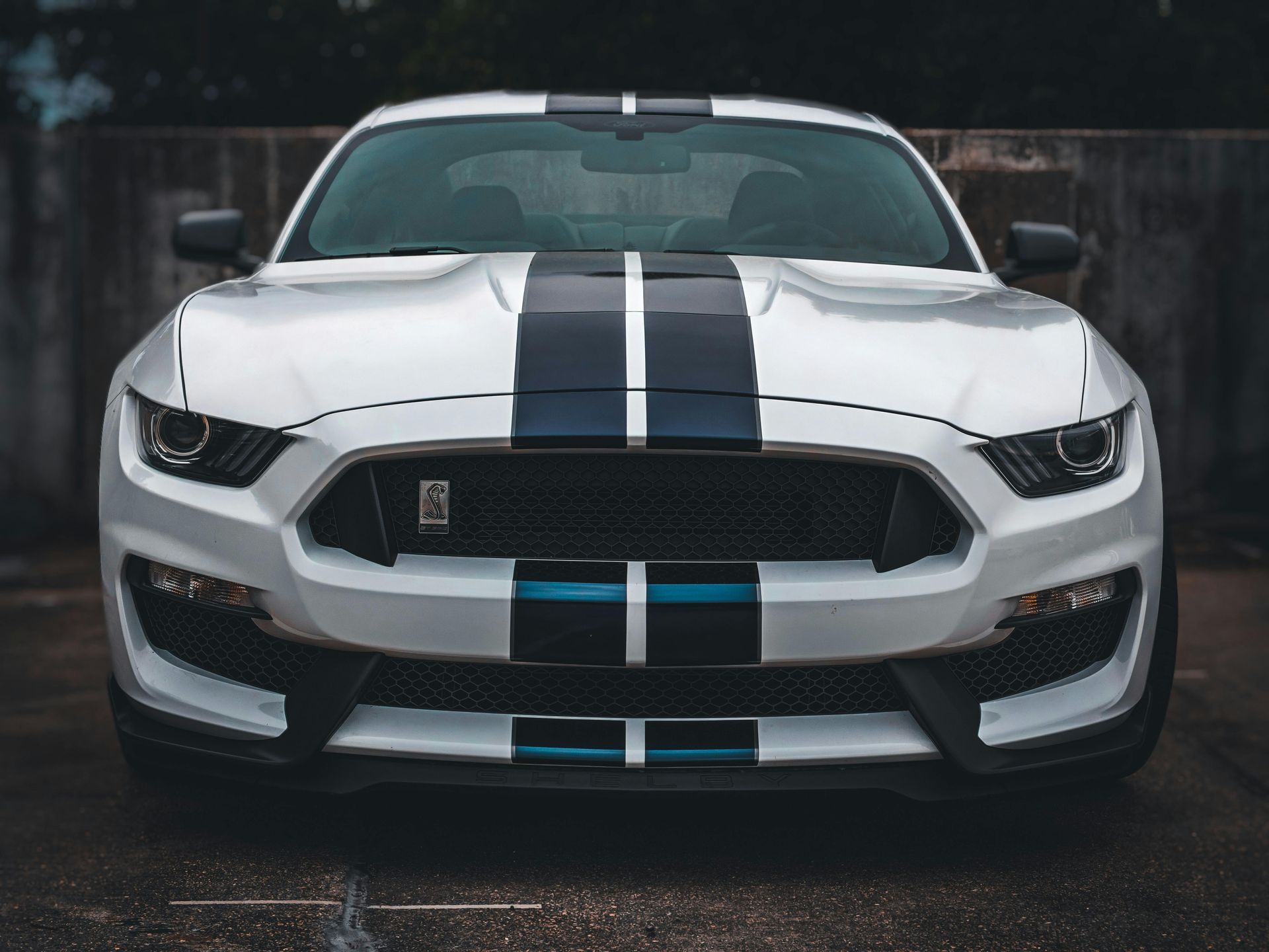 mustang vehicle for dent repair
