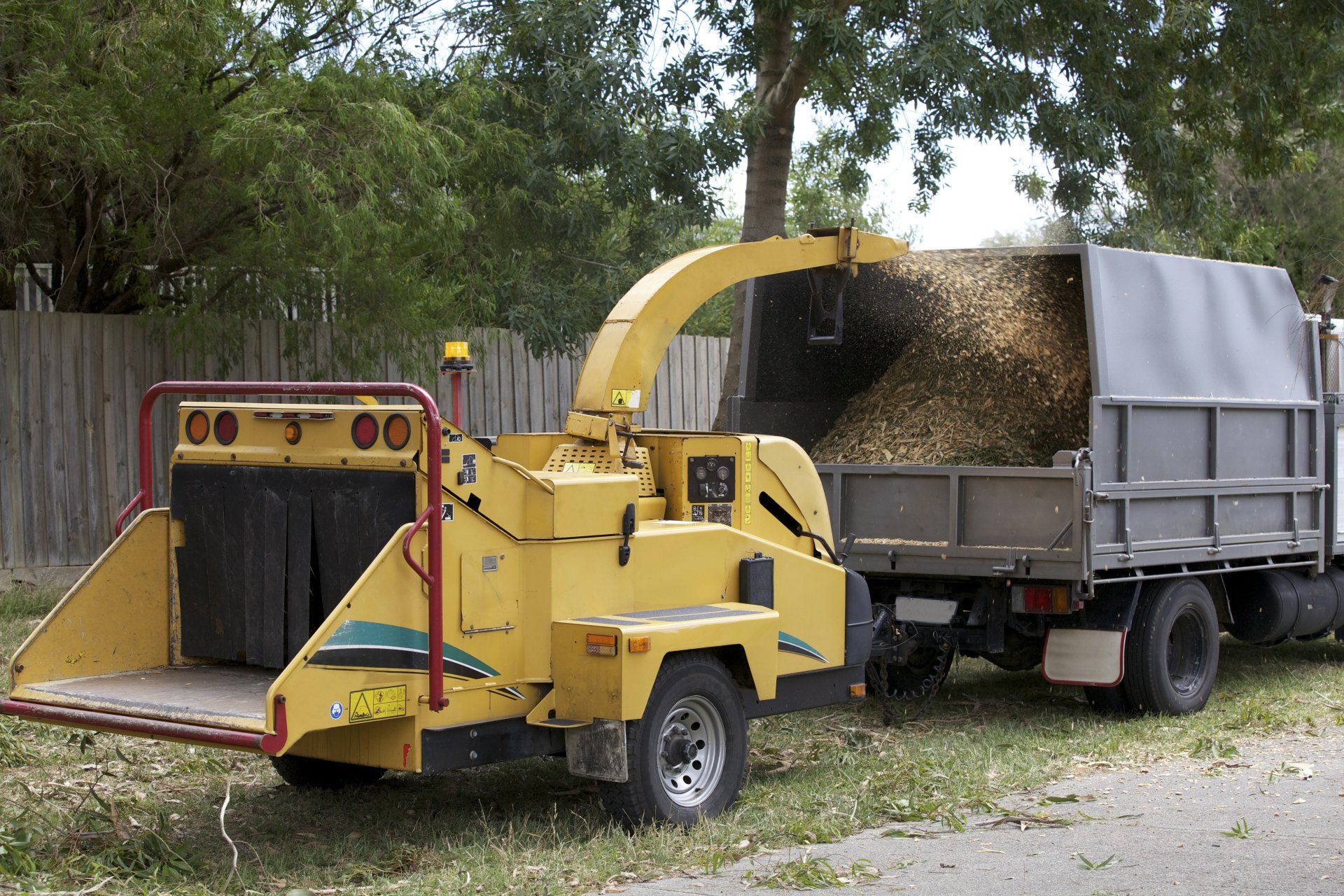 Cutting Tree Branch - Rutherford College, NC - Jensen Landscaping & Tree