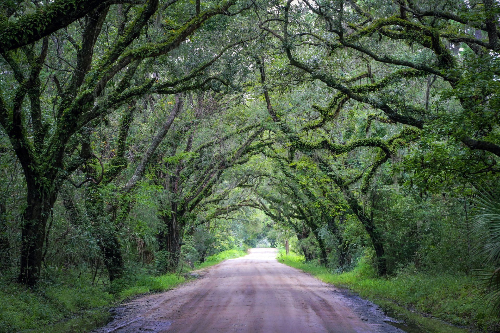 Beautiful Road - Rutherford College, NC - Jensen Landscaping & Tree Beautiful Road - Rutherford College, NC - Jensen Landscaping & Tree