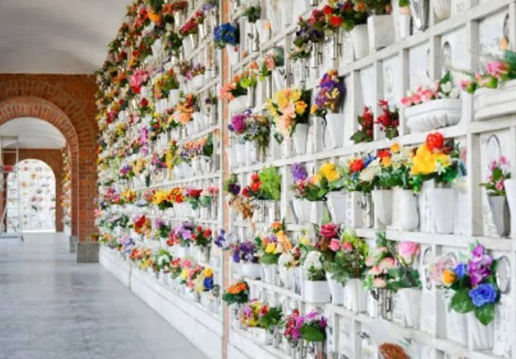 Parete bianca di vasi di fiori colorati in un corridoio luminoso con una porta ad arco in mattoni.