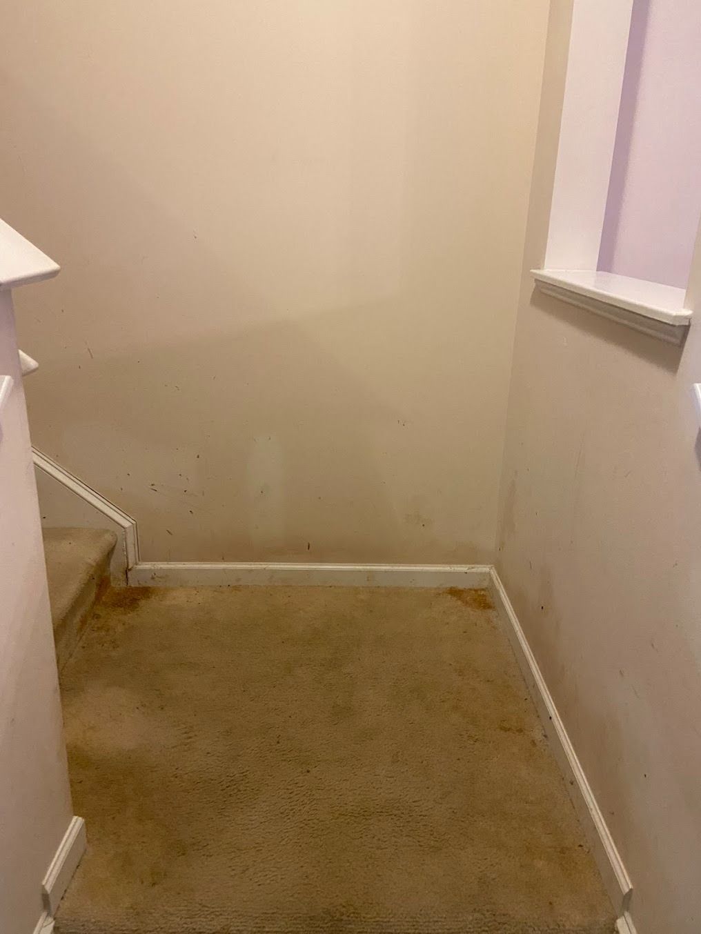 Small beige hallway landing with stained carpet and stair railing.