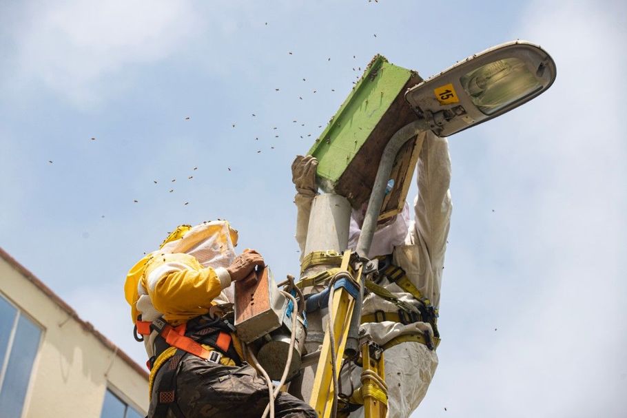 Worker repairing a streetlight with a bucket lift against a blue sky
