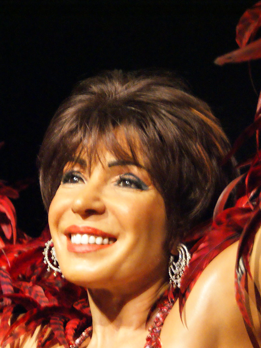 Dame Shirley Bassey DBE