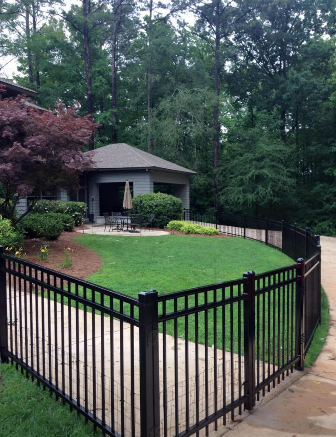 Backyard with green lawn, black fence, stone path, and small shed surrounded by trees