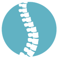 logo wirbelsäule blau