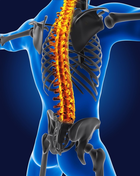 Spin, chiropractor in Winter Haven, Florida.
