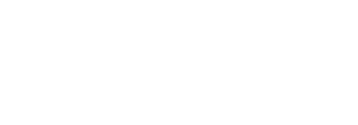 Chiropractor logo