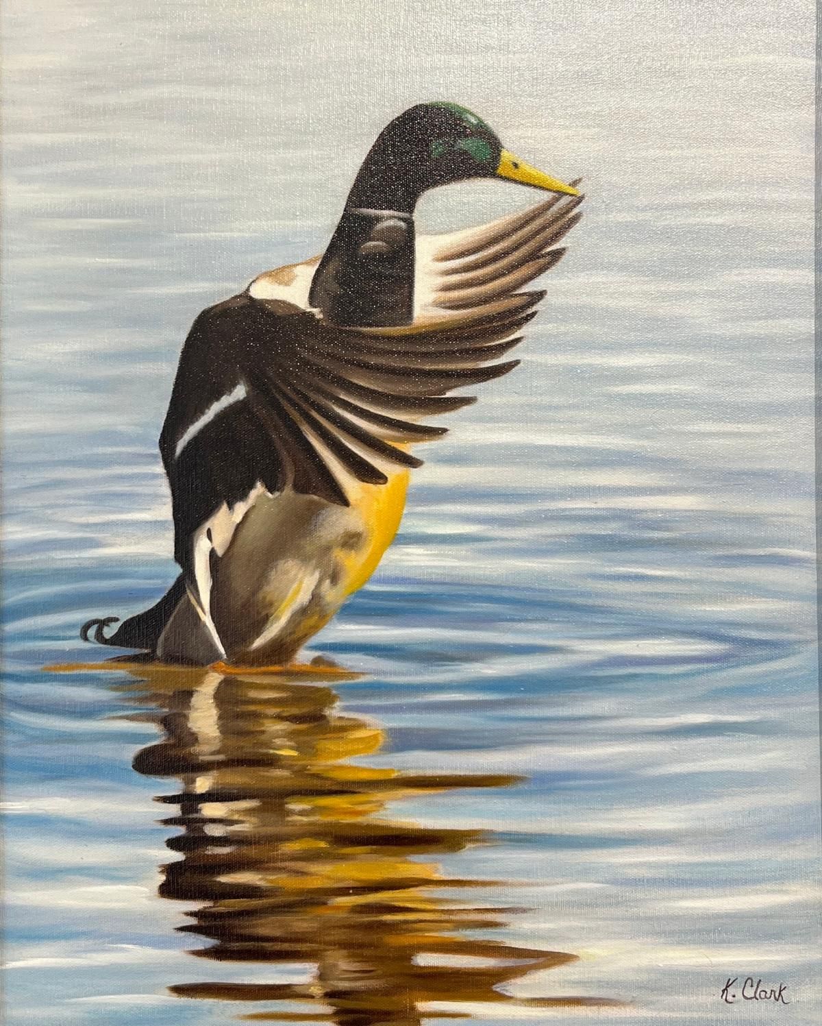 Duck standing in calm water with wings raised, reflected in the ripples.