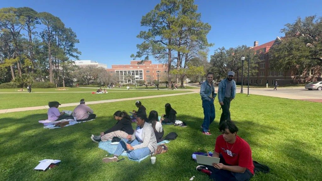 Students relaxing and studying on a sunny campus lawn with trees and buildings in the background