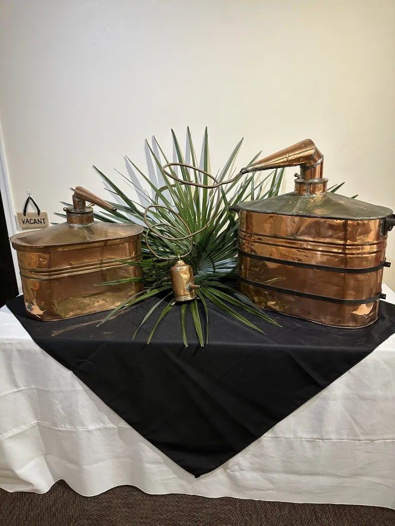 Decorative craft display with two copper-colored containers and a spiky green plant on a black-draped table