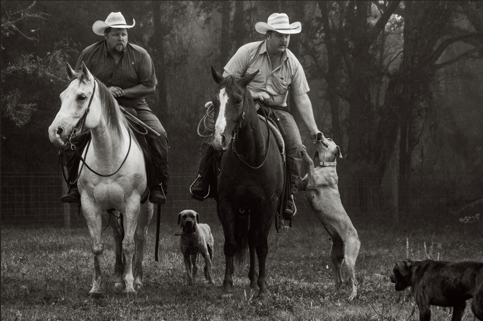 Two cowboys on horseback with dogs in a foggy forest clearing