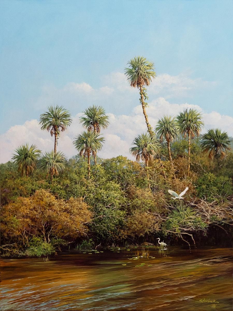 Mangrove riverbank with tall palms, dense green foliage, and a white bird over brown water under a blue sky