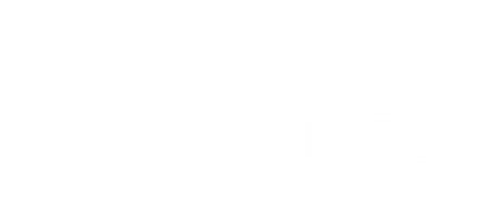 Roof Repair Pro