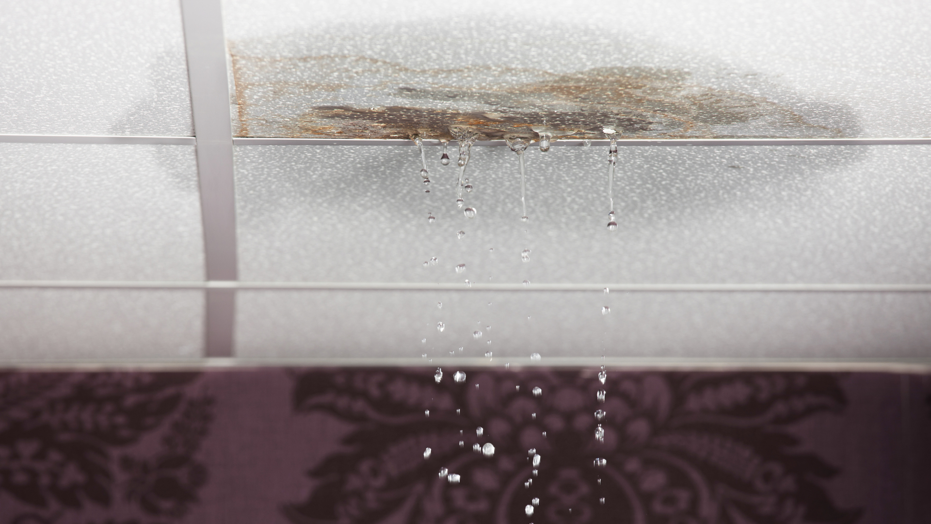 Close-up of a dirty, water-stained tiled wall with peeling residue and a dark purple patterned surface below