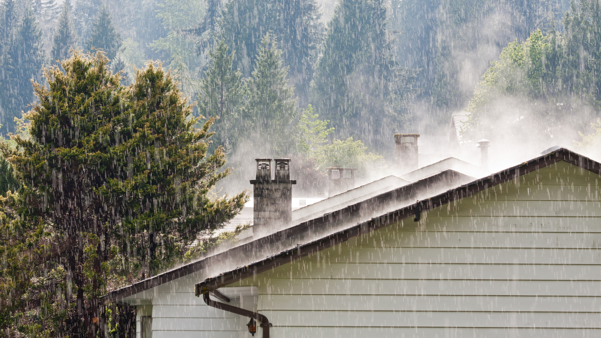 White house roof in misty rain with trees and forested mountains in the background