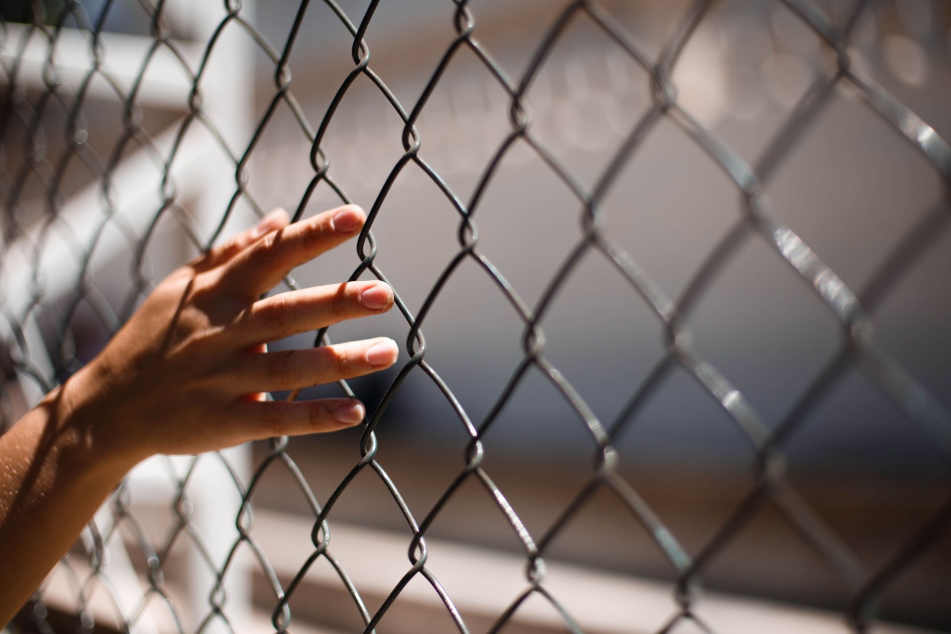 Hand gripping a chain-link fence in soft sunlight, with a blurred background