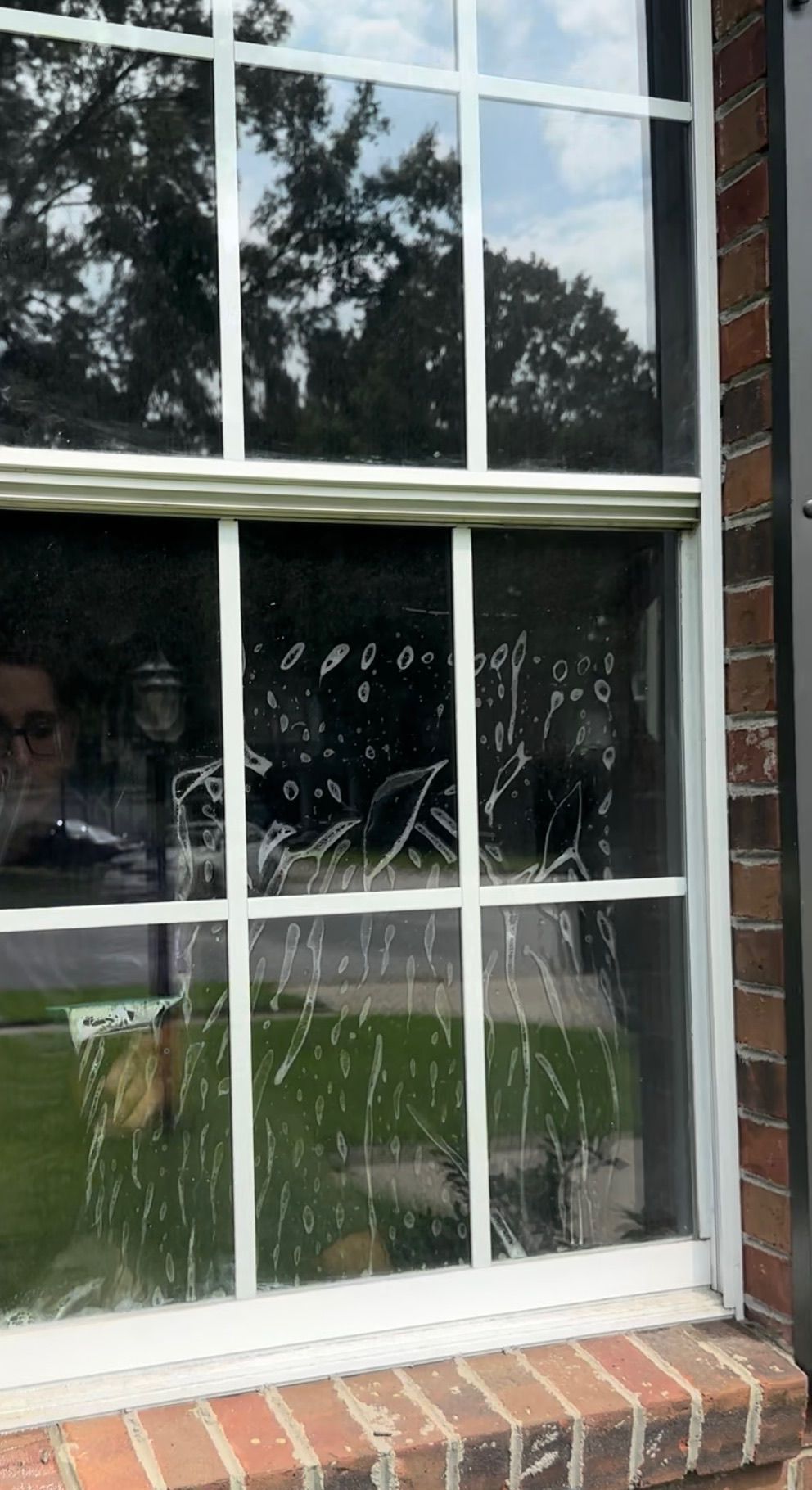 a dirty window with a reflection of trees in it .