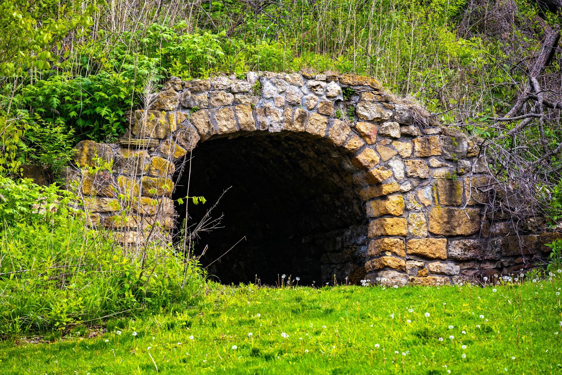 Stone tunnel entrance in a grassy hillside, surrounded by green vegetation and shrubs