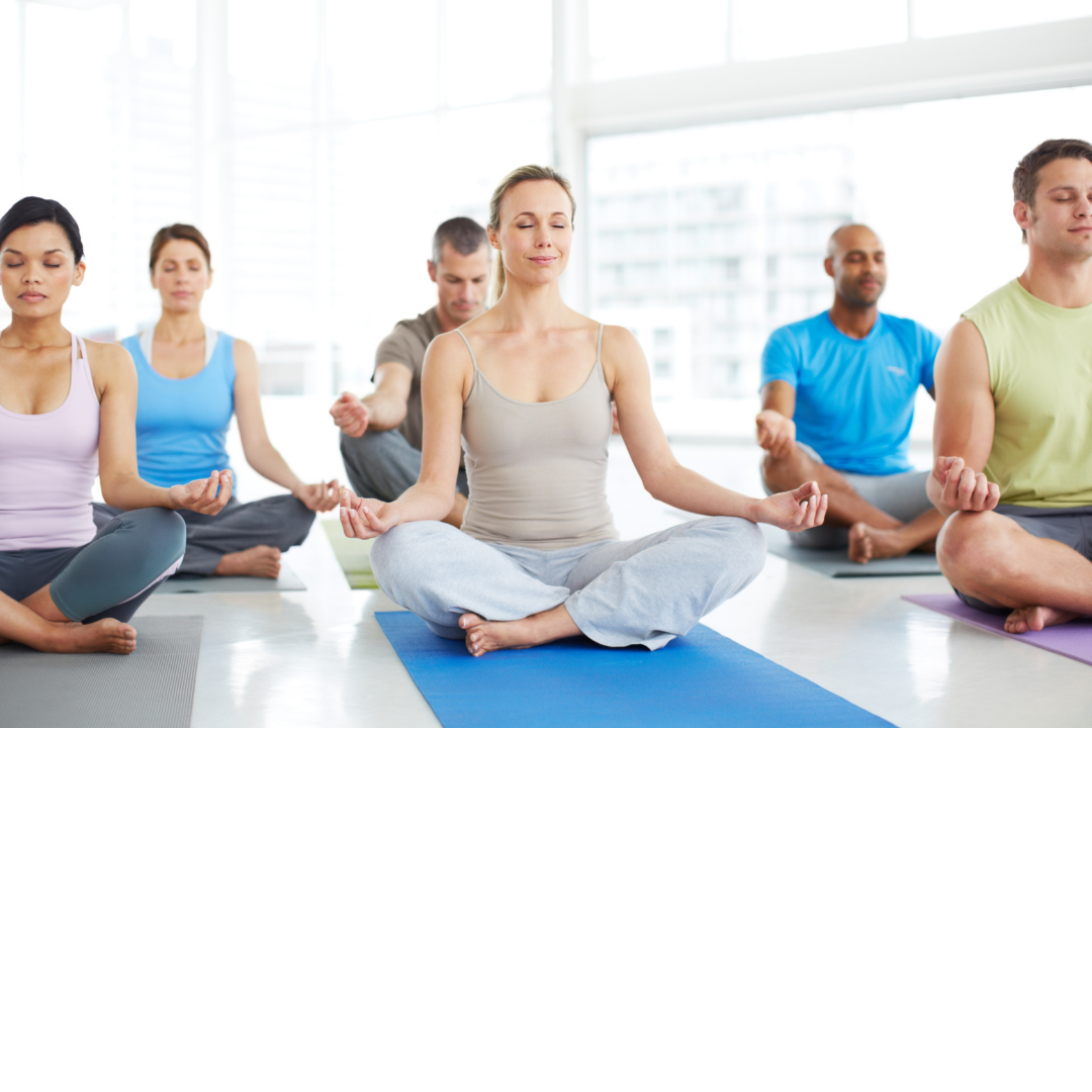 Meditation Courses