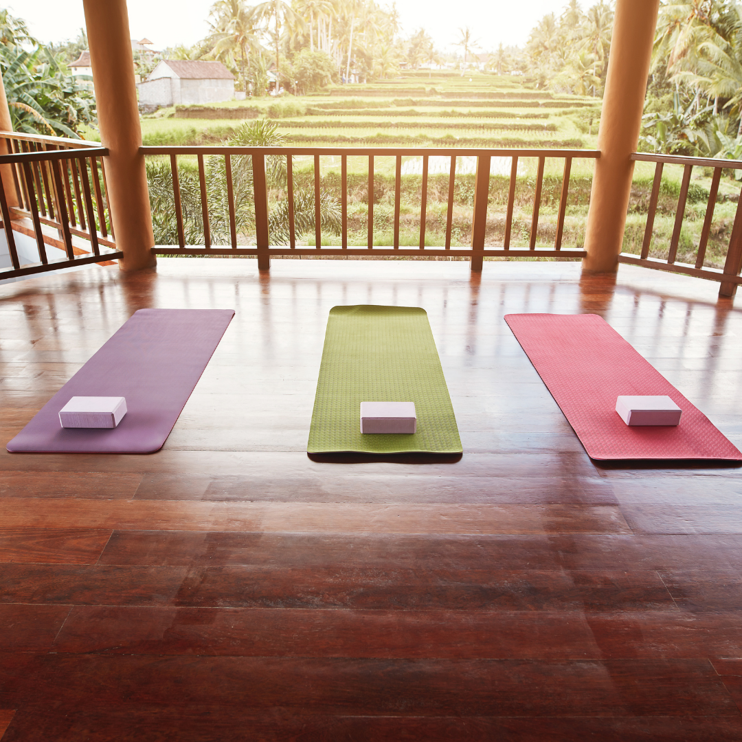 Meditation Courses