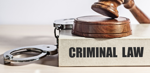 A wooden gavel is sitting on top of a book titled criminal law.