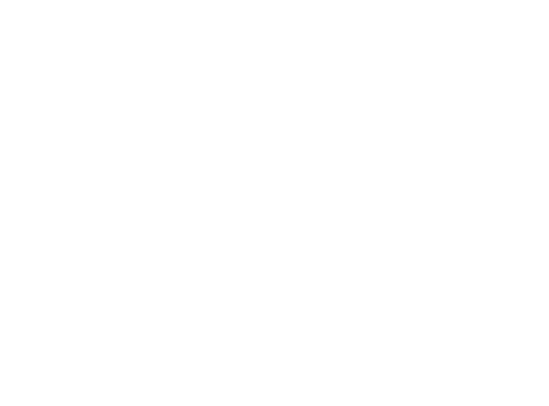 pet friendly