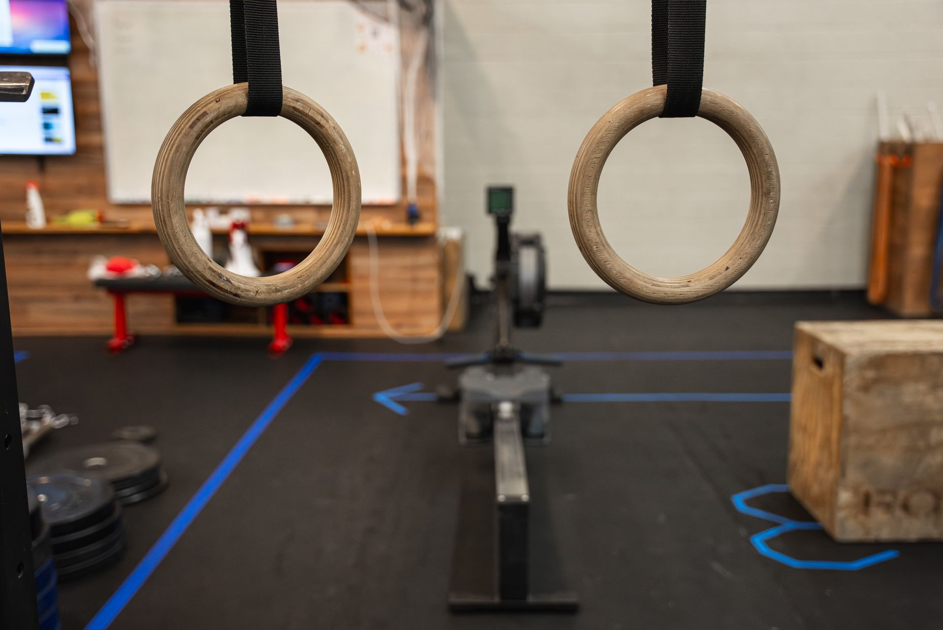 Gymastic rings