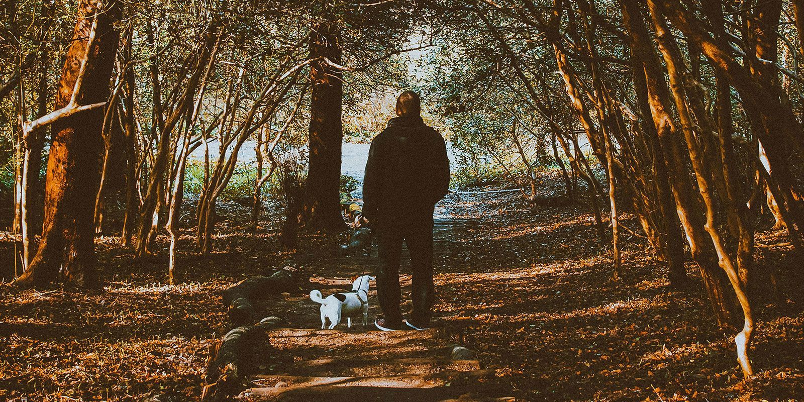 Older man walking a small dog in a wooded area