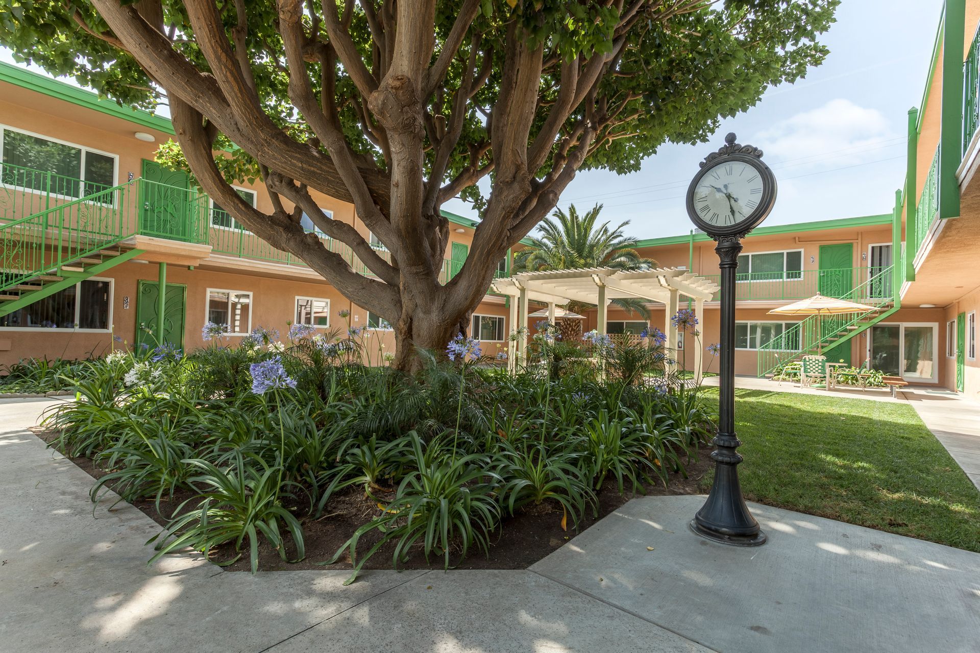 A clock is sitting in the middle of a courtyard next to a tree.