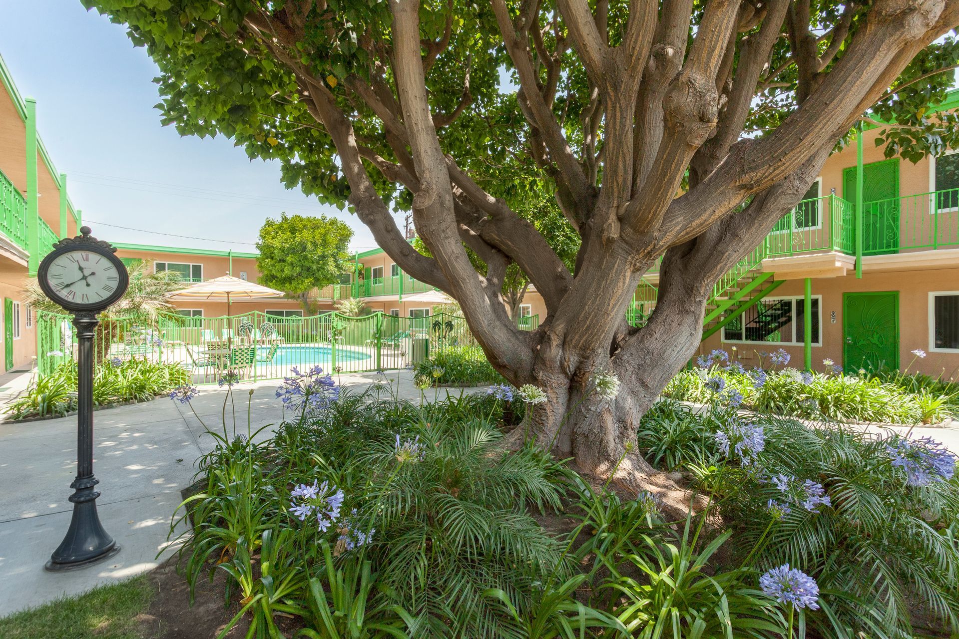 A clock is sitting in the middle of a garden next to a tree.