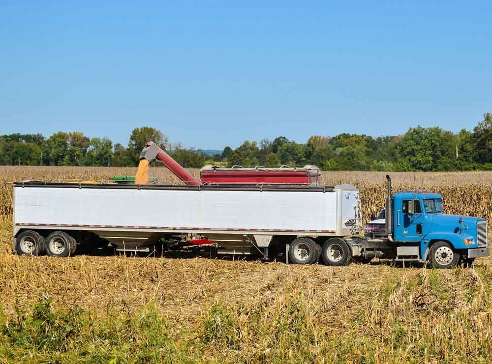 Blue semi truck hauling a long white trailer in a harvested field under a clear sky