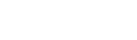 Lares Insurance Services