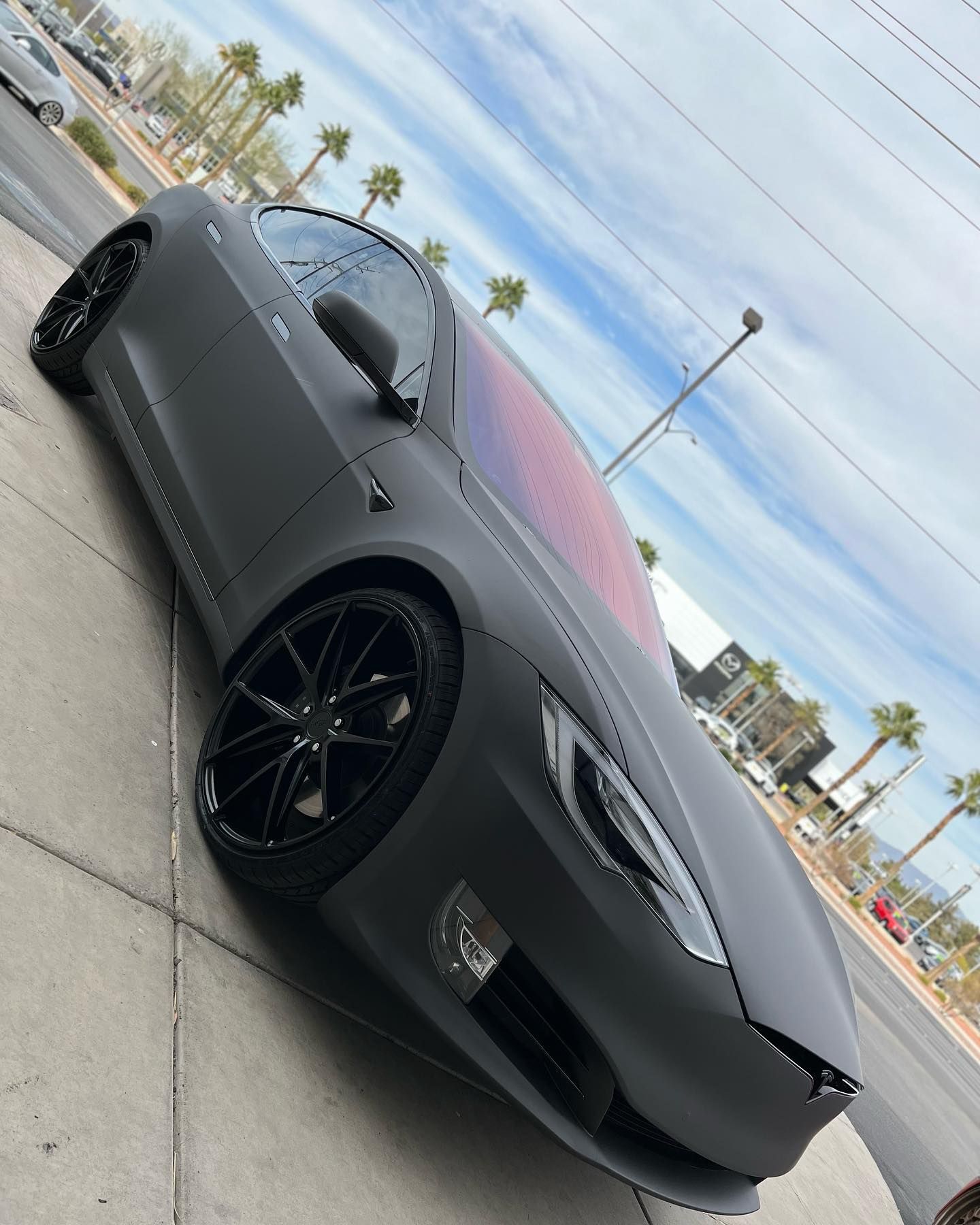 Matte black sports car parked roadside under palm trees on a cloudy day